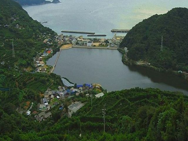 亀ケ池の写真1