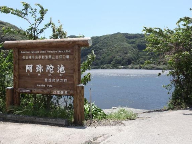 阿弥陀池の写真1