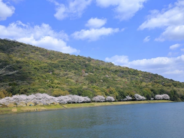 蒲生の池_蒲生の池