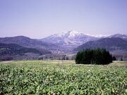 トマム山の写真1