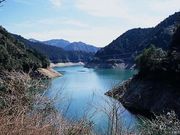 池原ダム湖の写真1