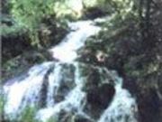 福田頭の写真1