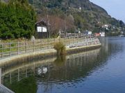 亀ケ池の写真3
