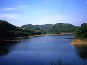 力丸ダム湖の写真1