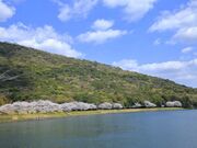 蒲生の池の写真1