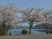 大隅湖の写真2