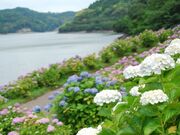 大隅湖の写真3