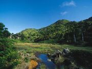 花之江河の写真1