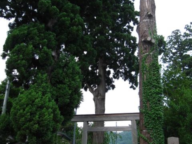 扇田神明社の写真1