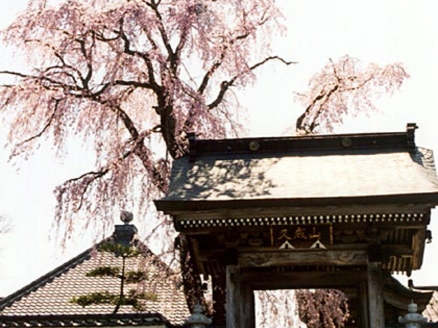 法華寺