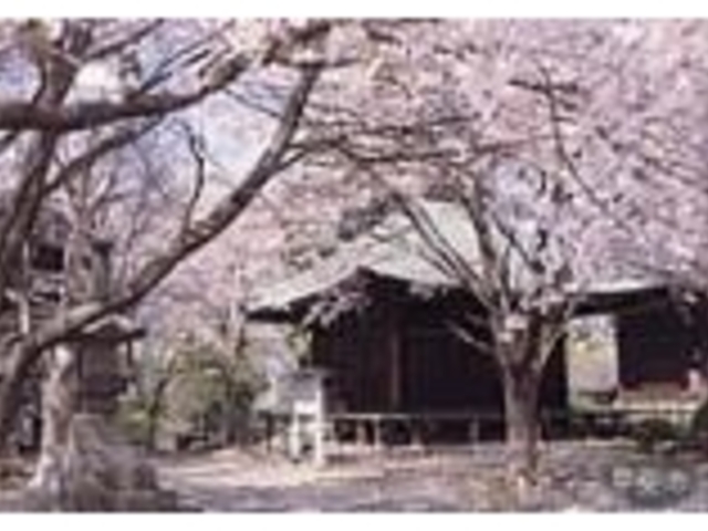 光照寺薬師堂_光照寺