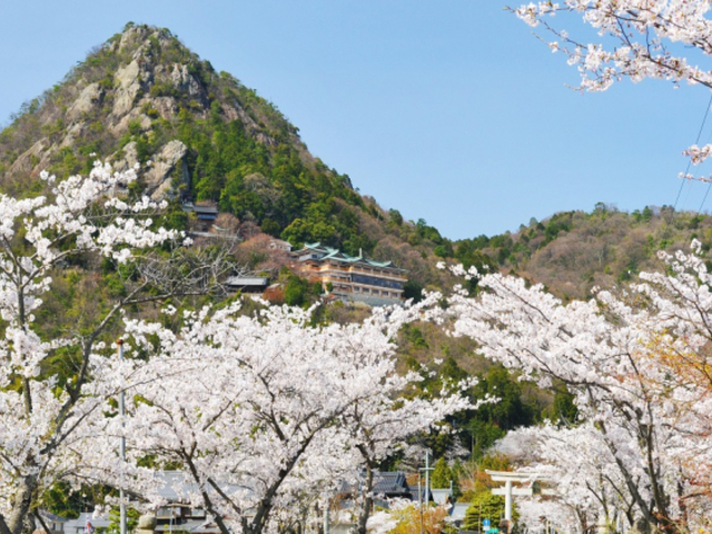 太郎坊宮参道_太郎坊宮