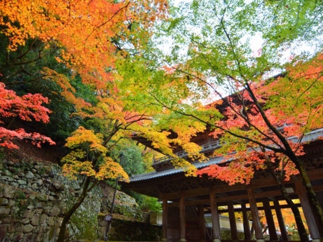 大本山永源寺_大本山永源寺