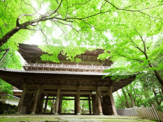 大本山永源寺_大本山永源寺