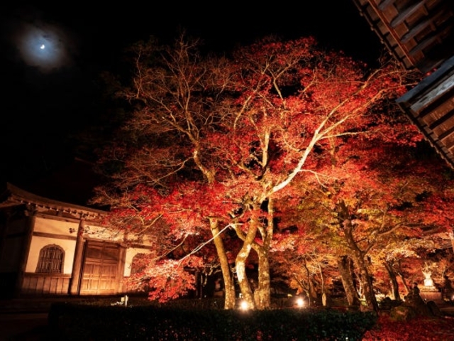 大本山永源寺_大本山永源寺