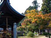 遍照寺の写真1