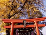 岩神稲荷神社の写真1