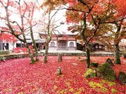 大本山永源寺の写真3