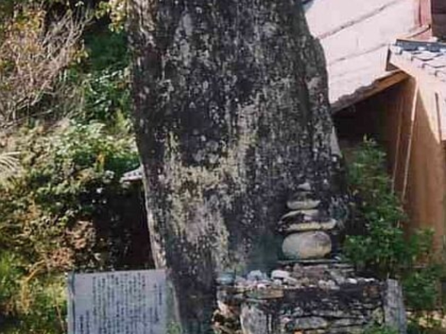 高山メンヒルの写真1