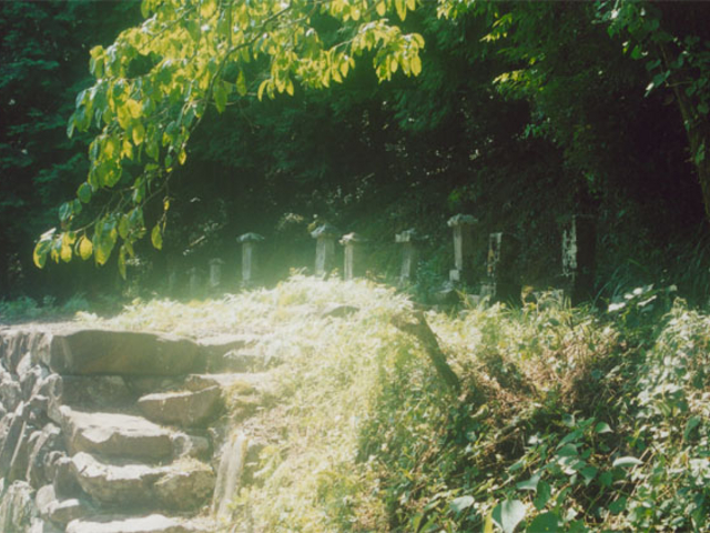 寺田寅彦先祖の墓の写真1