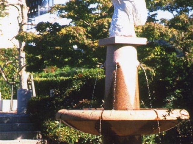 マイセン磁器「ハウベンカズア(冠火喰鳥)」の写真1