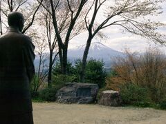 啄木望郷の丘の写真1