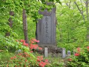 日本新三景の碑(大沼国定公園)の写真1