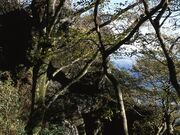立身石(男体山)の写真1
