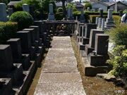 新井白石の墓の写真1