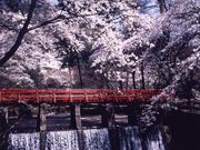 岩屋堂の写真2