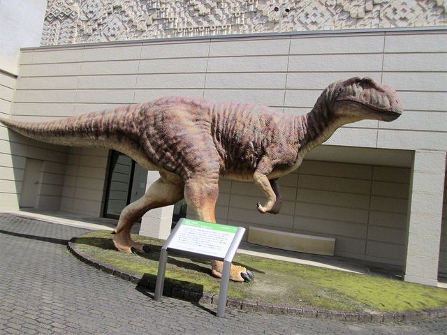 光ミュージアム