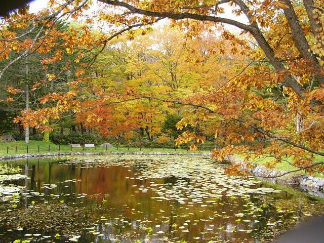 野田生公園の写真1