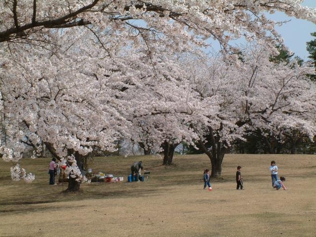小渡平公園の写真1
