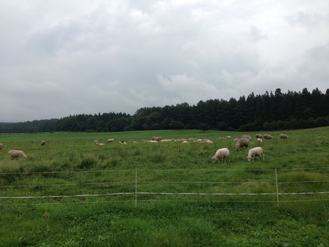 小岩井乳業工場