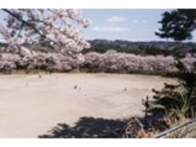 相山公園の写真1