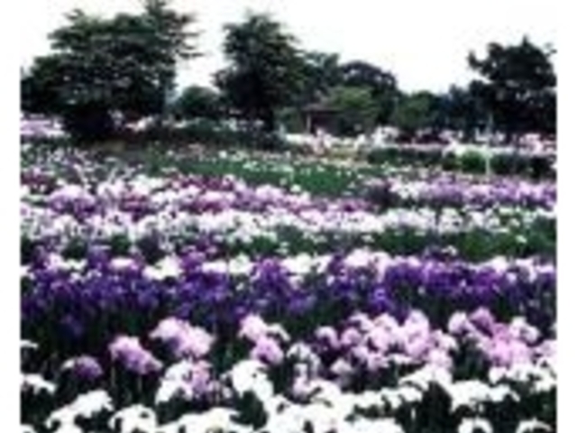 一迫山王史跡公園の写真1