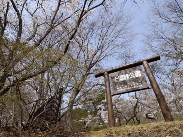 十国峠公園