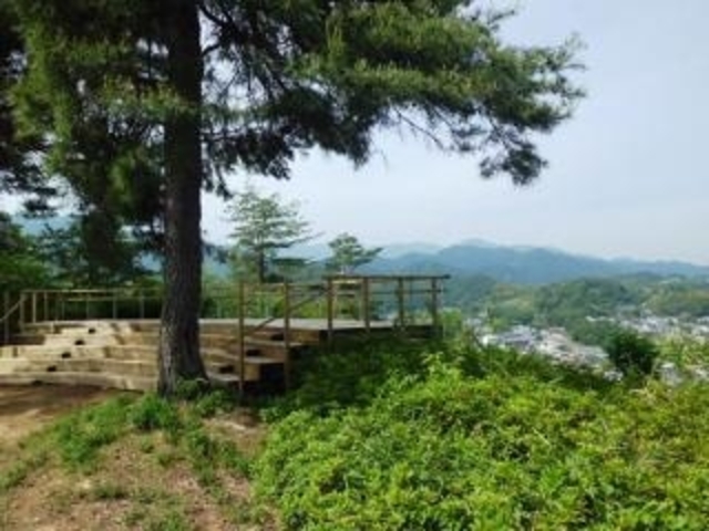 八幡山公園の写真1