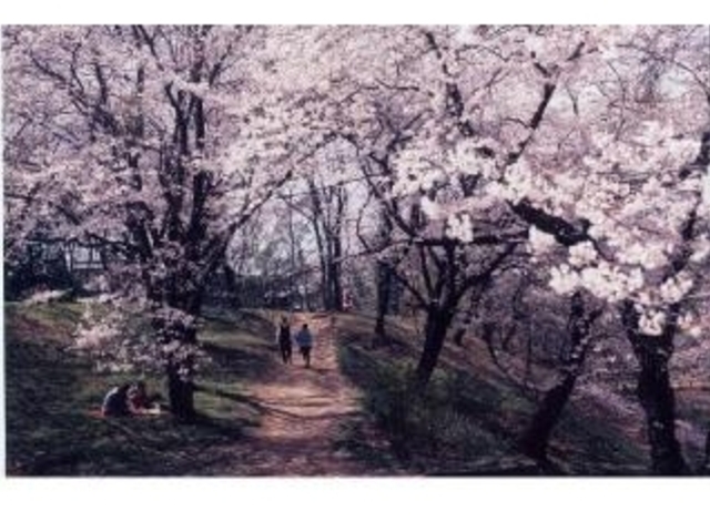 雉岡城跡公園の写真1