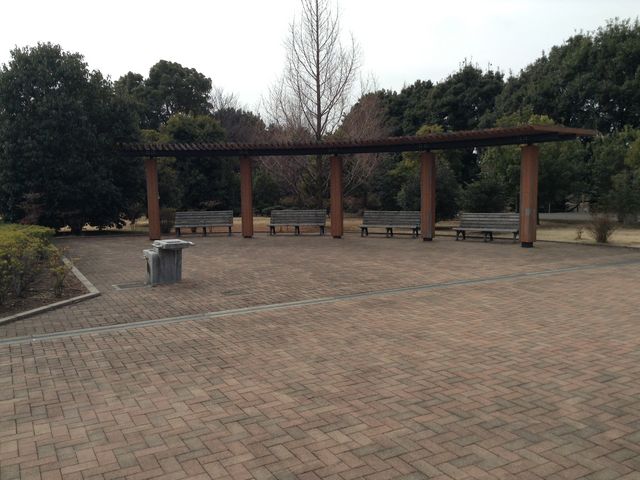 千葉県立柏の葉公園