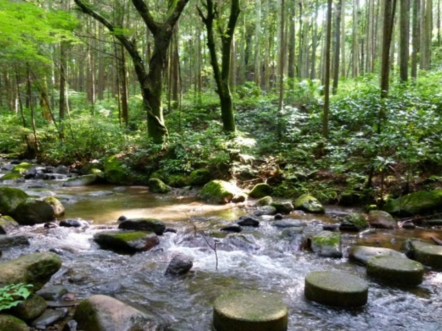 小田原市いこいの森の写真1