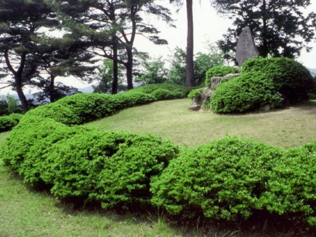 城ケ平公園の写真1