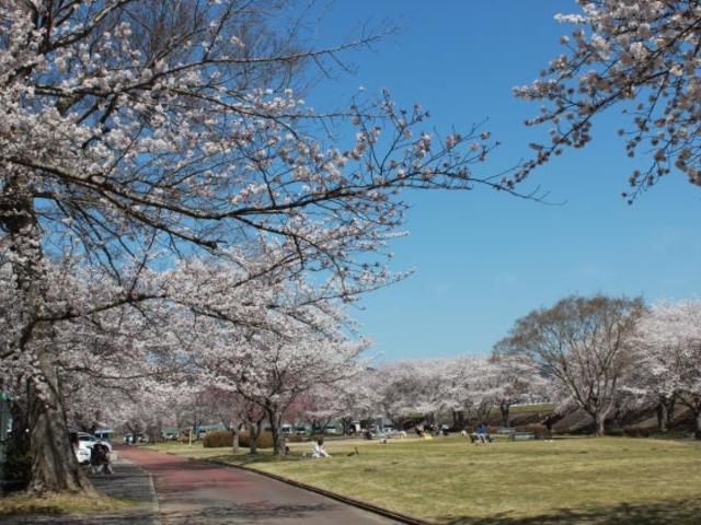 南丹市大堰川緑地公園の写真1