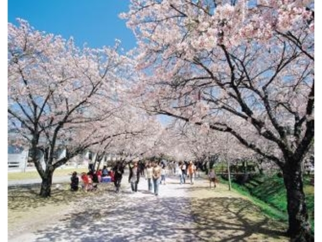 鏡野公園の写真1