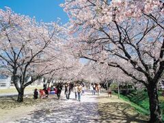 鏡野公園の写真1
