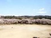 相山公園の写真2