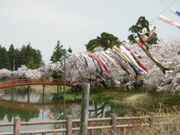 梨木公園の写真1