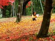 紅葉山公園の写真1
