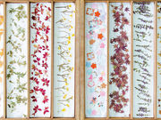 越前和紙の里 パピルス館の写真3