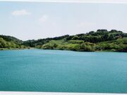 丹野池公園の写真1